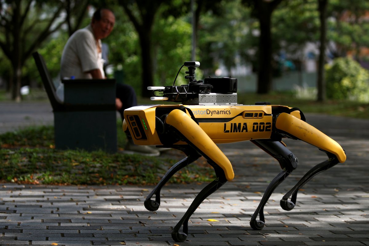 Robot Dog to Noodle Hats: Eight Quirky Ways Cities Are Encouraging Distancing