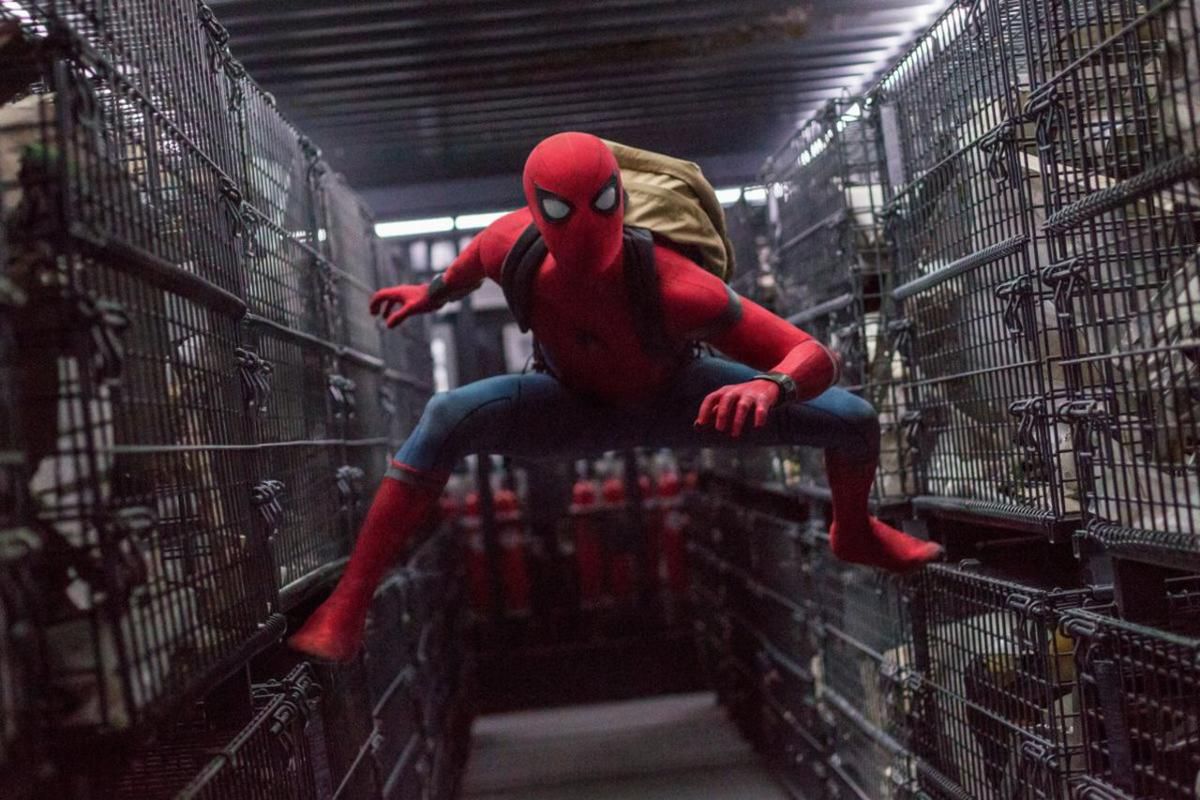 Spiderman No Way Home Torrent