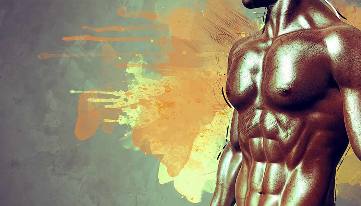Is Ecdysterone Safe for Body Builders?
