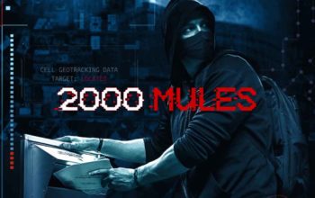 2000 mules documentary dvd by dinesh dsouza