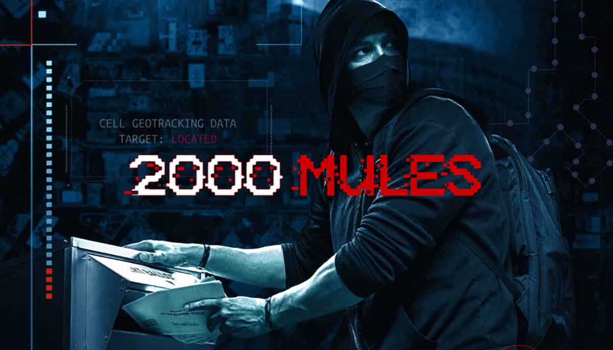 2000 mules documentary dvd by dinesh dsouza